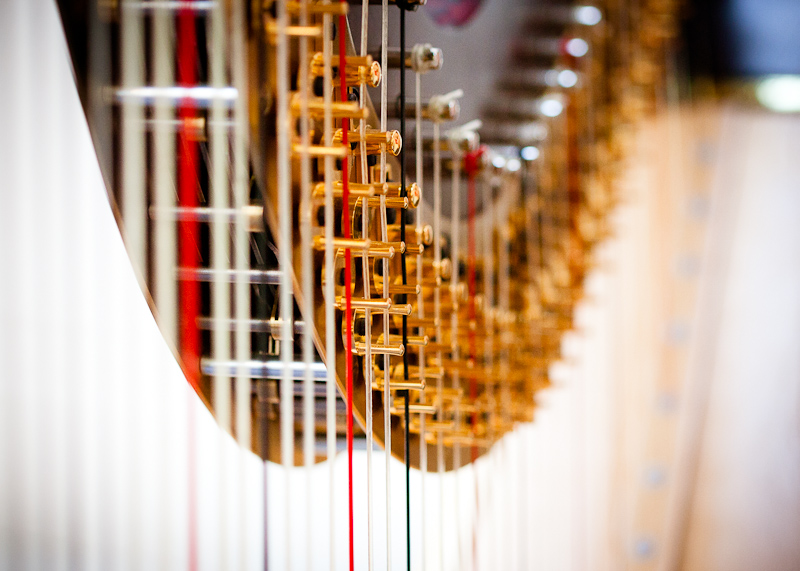 Harp Festival (14 of 54).jpg